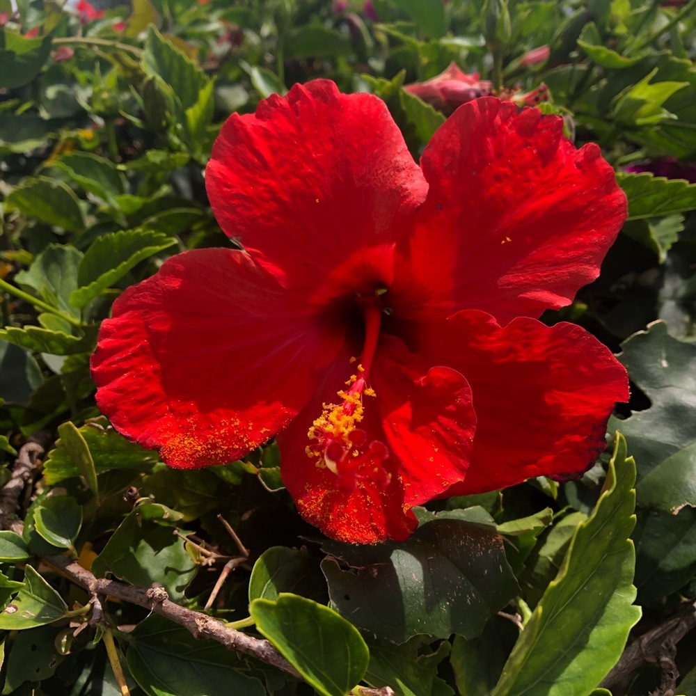 Meet your Posher, Marina